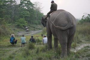 Walking safari in Chitwan national park looking for Rhino