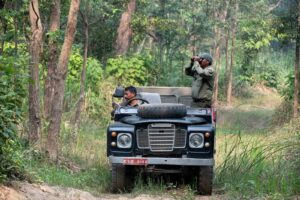 Tiger safari in Bardia national park