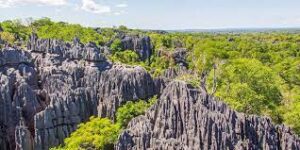 Madagascar wildlife tour visiting Ankarana national park