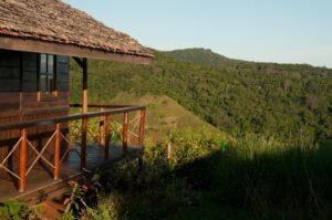 Madagascar wildlife tour visiting Amber mountain national park