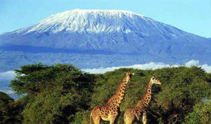 Amboseli safari with Wildlife Trails. Photo of Mount Kilimanjaro