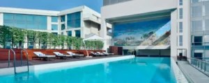 Bera leopard safari. Photo of our Delhi Hotel