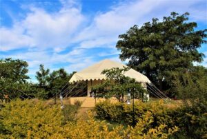 Bera Leopard Safari. Photo of your camp in Bera